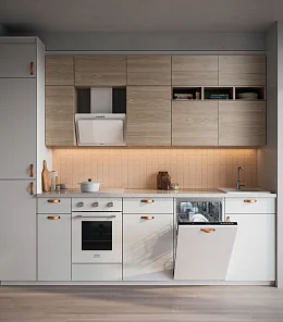 LEINE 60 BI