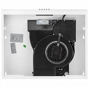 LOTTE 600 white PB