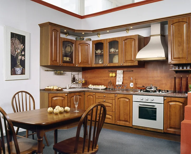 ALISA 500 electronic