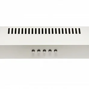 EVA 500 white PB